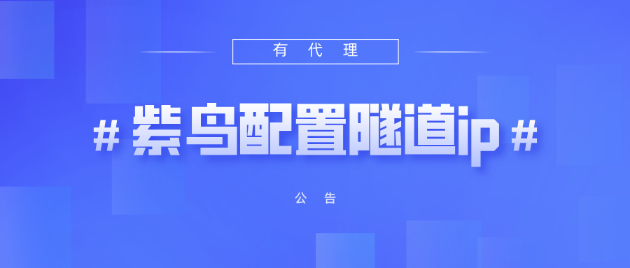 有代理隧道代理IP在紫鸟浏览器配置教程