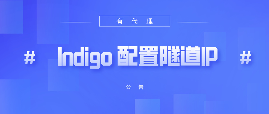 有代理隧道代理IP在Indigo Browser浏览器配置教程