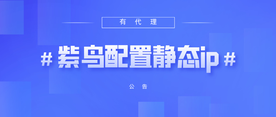 有代理共享静态代理IP在紫鸟浏览器配置教程
