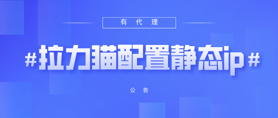 有代理共享静态代理IP在拉力猫指纹浏览器配置教程