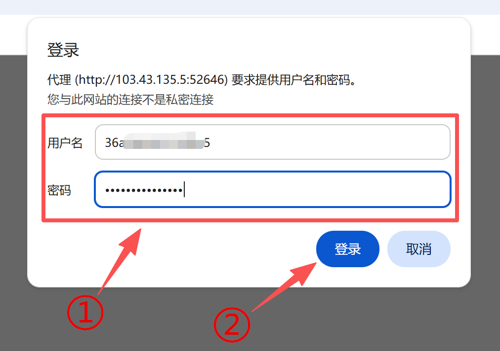 有代理在谷歌上配置短效动态代理ip