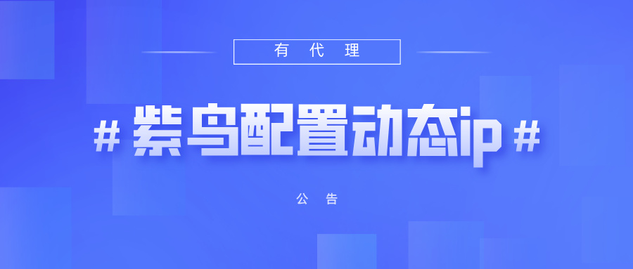 有代理短效动态ip在紫鸟浏览器配置教程