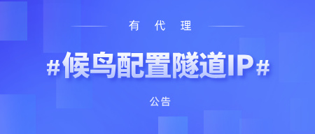 有代理在候鸟浏览器上配置隧道代理教程