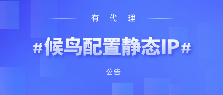 有代理在候鸟浏览器上配置长效静态代理教程