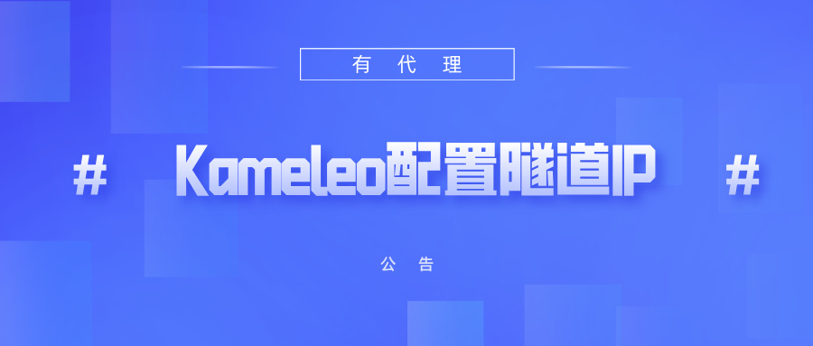 有代理隧道代理IP在Kameleo浏览器配置教程