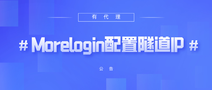 有代理隧道代理IP在Morelogin浏览器配置教程