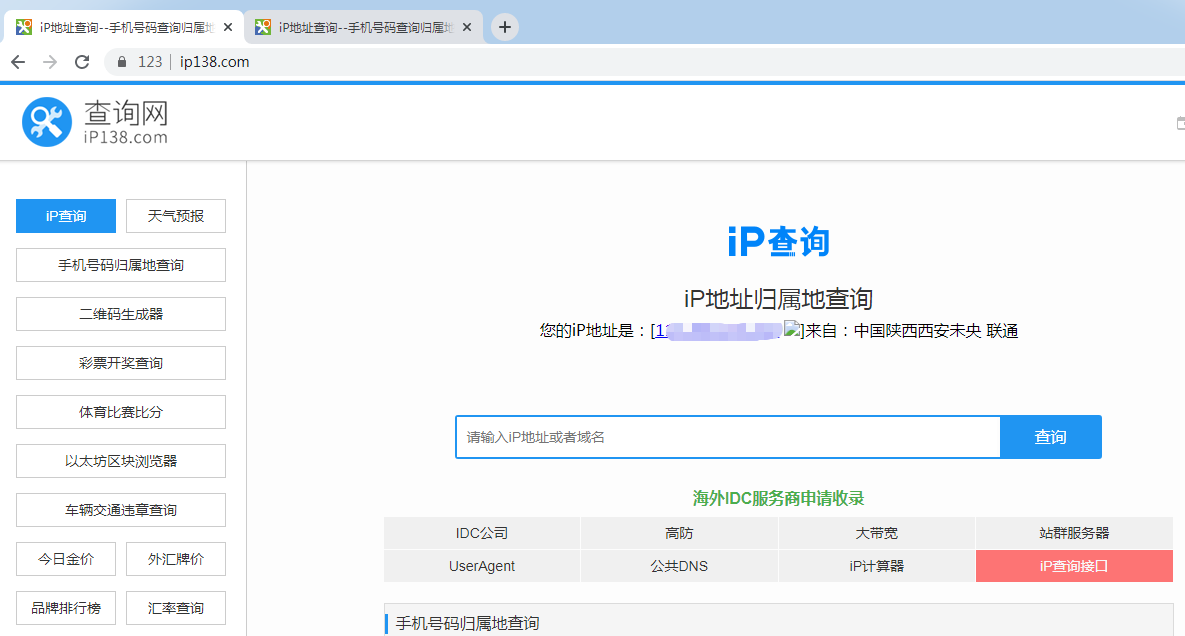 有代理在候鸟浏览器配置隧道代理iP