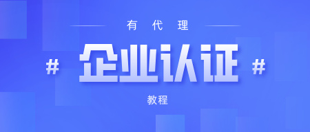 有代理账户企业实名教程