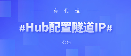 有代理在Hubstudio浏览器上配置隧道代理教程